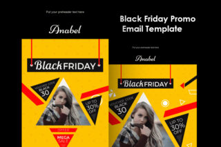 Black Friday  Promo Email Template