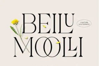 Beilu Mooli – Modern Retro Fonts