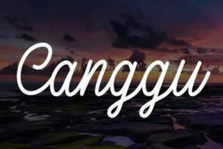 Canggu – Monoline Script Typeface