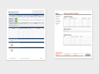 Status Report Templates (Word, Excel)