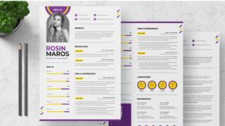 Designer CV Resume