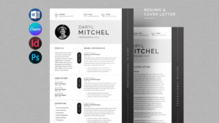 Designer Resume