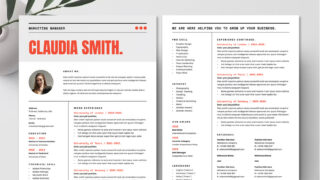 Marketing Manager Resume
