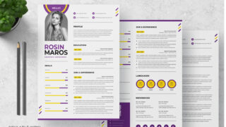 CV Resume